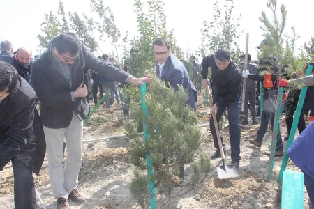 Balaxanı tullantı poliqonunda 1000 ədəd ağac əkilib - FOTO