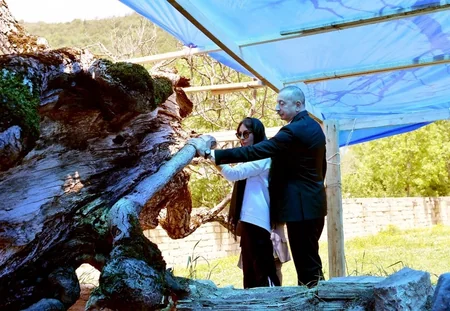 Prezident Pir Ömər Sultan ziyarətgahında bərpa-konservasiya işləri ilə tanış olub - YENİLƏNİB