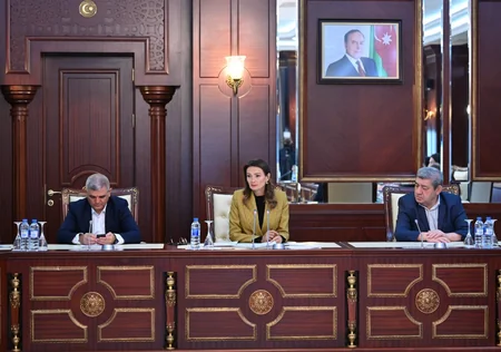 Parlamentin Mədəniyyət komitəsinin iclası keçirilib