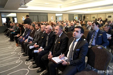 Elmira Süleymanova: Dünyada miqrantların ləyaqətinin, şərəfinin alçaldılmasına yol verilir