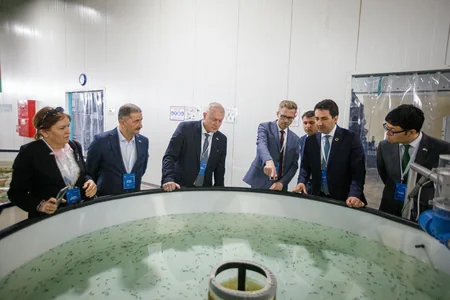 50,000 sturgeon released into the Caspian Sea by Azerbaijan fish farm to mark International Day for Biological Diversity