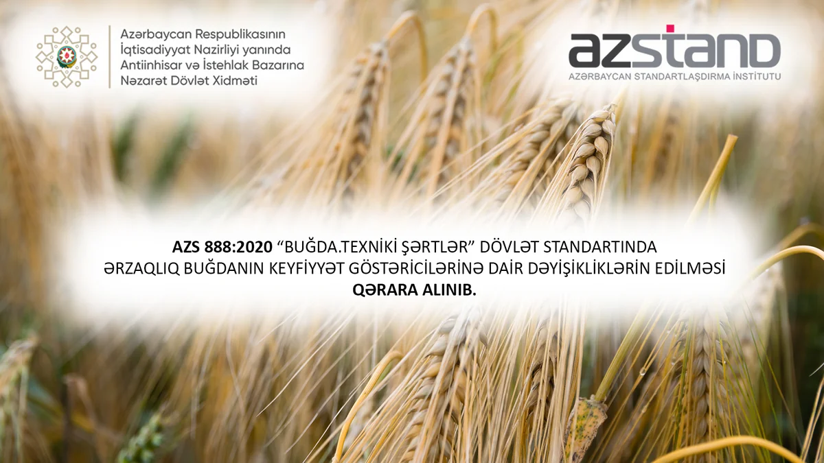 Azərbaycanda buğda ilə bağlı dövlət standartı dəyişdiriləcək
