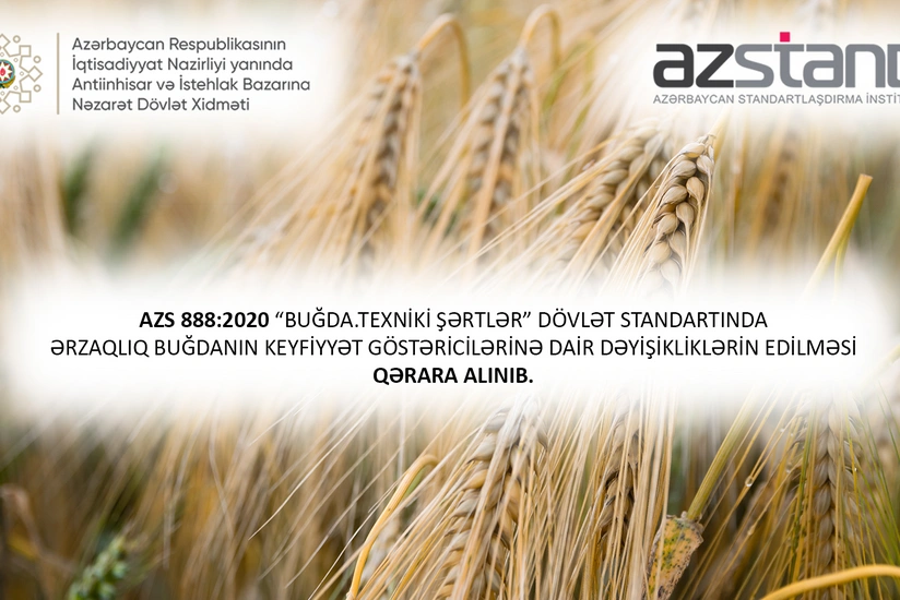 Azərbaycanda buğda ilə bağlı dövlət standartı dəyişdiriləcək