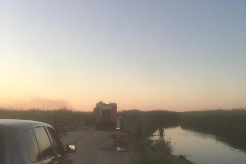 В Национальном парке Гызылагадж произошел пожар