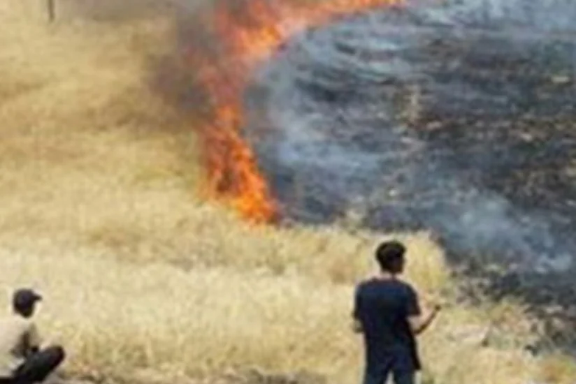 Azərbaycanda iki min hektar otlaq sahəsi yanıb