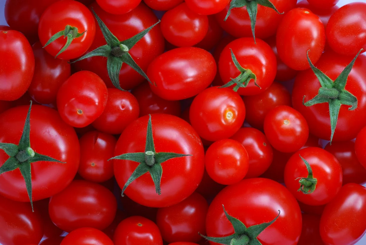 Azerbaijan's revenues from tomato export down over 23%
