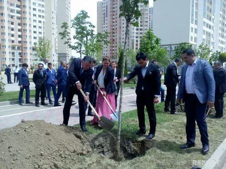Azərbaycanın Gürcüstandakı səfirliyi Heydər Əliyevin 95 illik yubileyi ilə əlaqədar ağacəkmə aksiyası keçirib