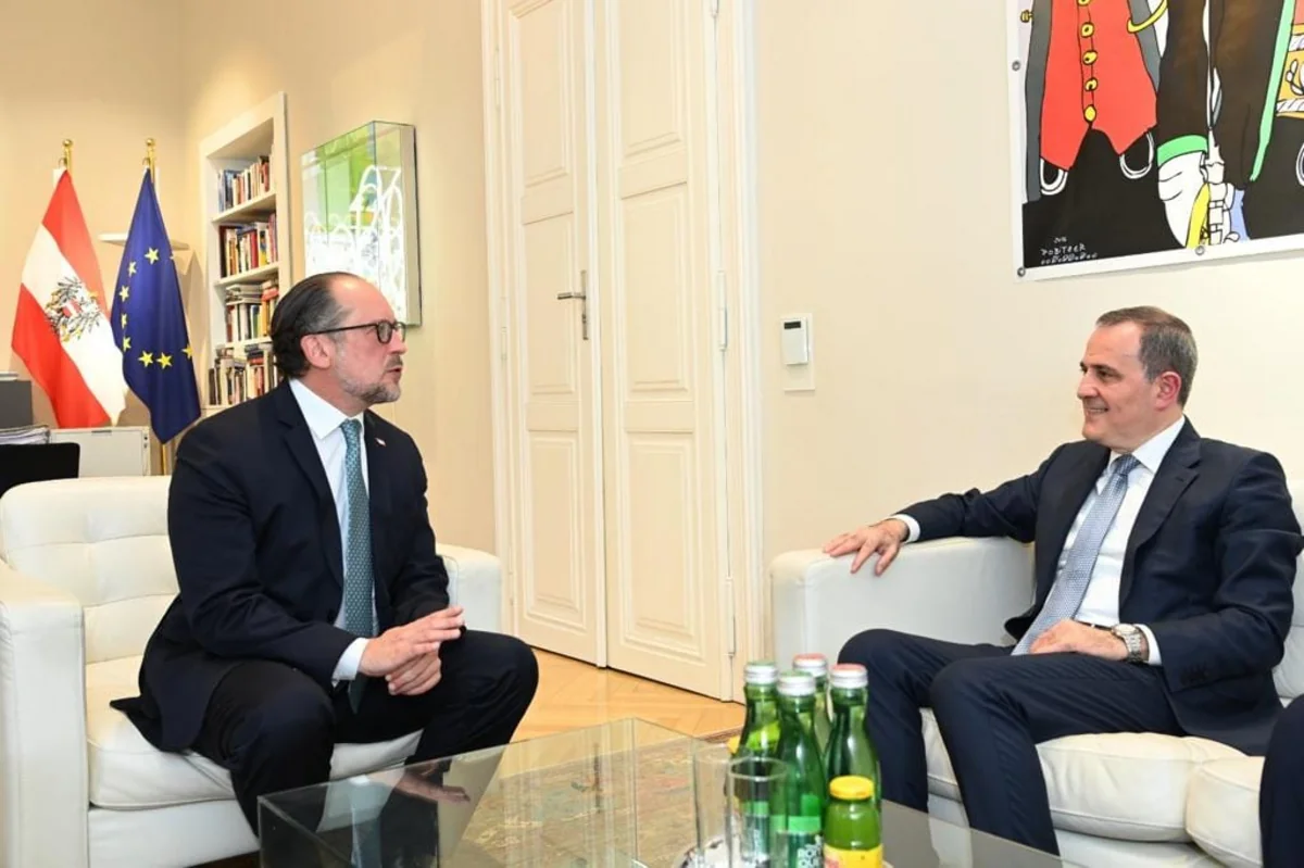 Meeting of Azerbaijani, Austrian FMs kicks off in Vienna