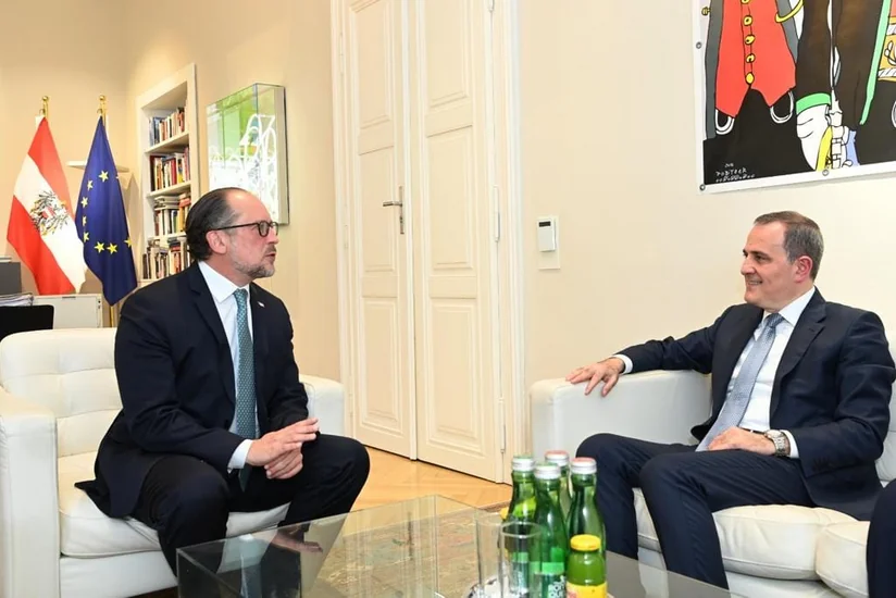 Meeting of Azerbaijani, Austrian FMs kicks off in Vienna