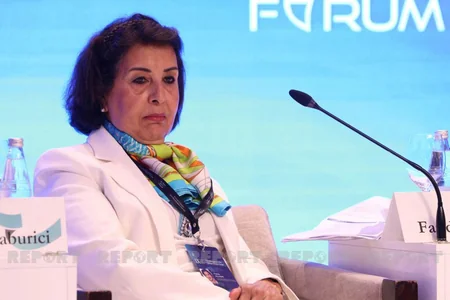 Bakı Forumu: “Qlobal dünya nizamına təhdidlər” mövzusunda panel iclası keçirilib