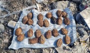 Abşeronda 17 əl qumbarası, 16 partlayıcı və xeyli silah-sursat aşkarlanıb