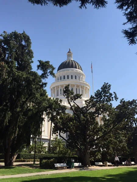 California State Senate hosts Azerbaijani musicians