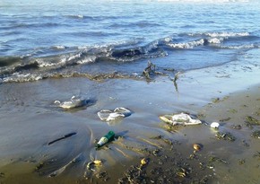 Представитель МЭПР о загрязнении Каспийского моря