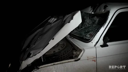 В Кюрдемире автомобиль сбил корову - ФОТО