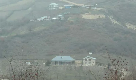 Şamaxıda canavarlar mal-qaraya hücum ediblər