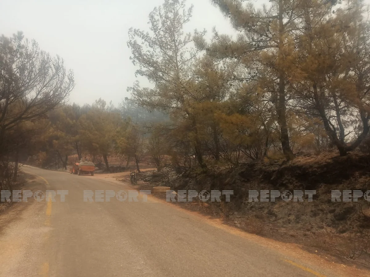 Muğla bölgəsində yanğının şiddəti getdikcə artır