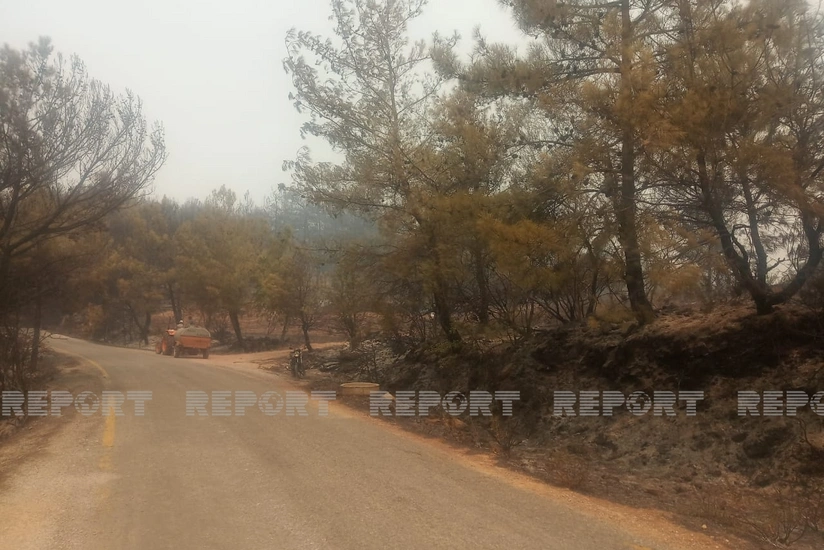 Fire becomes agressive in Turkey's Mugla