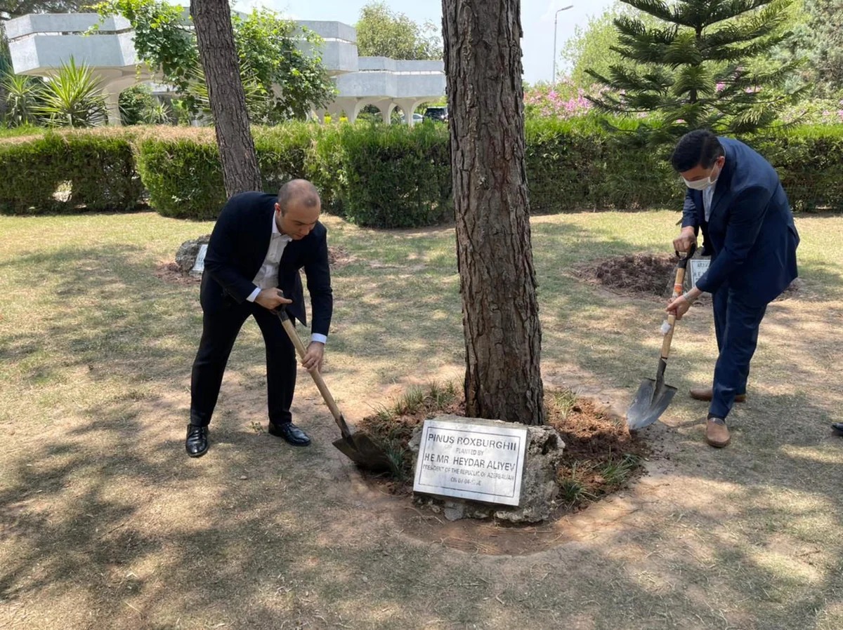 Heydər Əliyevin Pakistanda əkdiyi ağaclara qulluq göstərilib