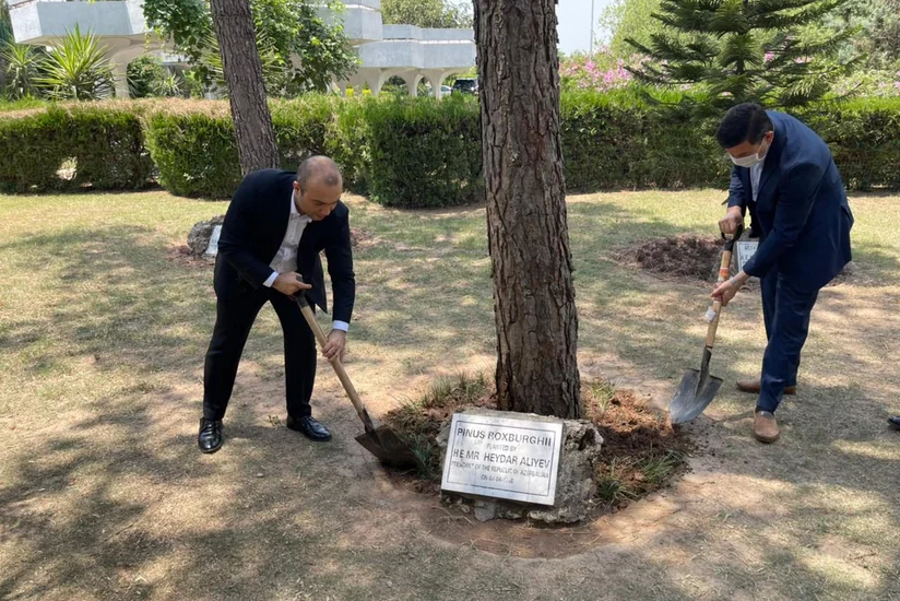 Heydər Əliyevin Pakistanda əkdiyi ağaclara qulluq göstərilib