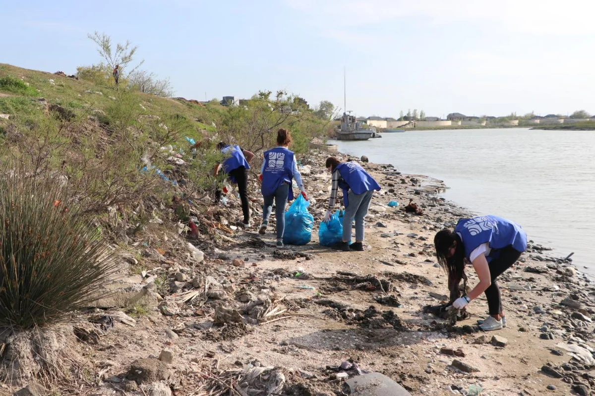 Təmiz hövzələr aksiyasına başlanılıb