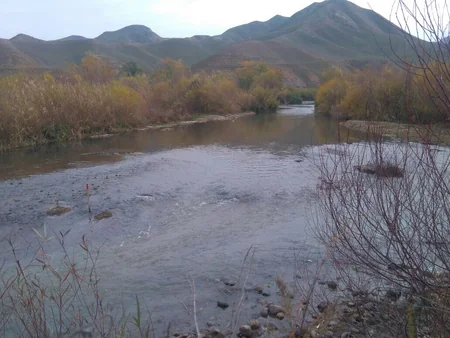 Cocuq Mərcanlıda 5 hektardan çox ərazi tam təmizlənib, mina aşkar edilməyib