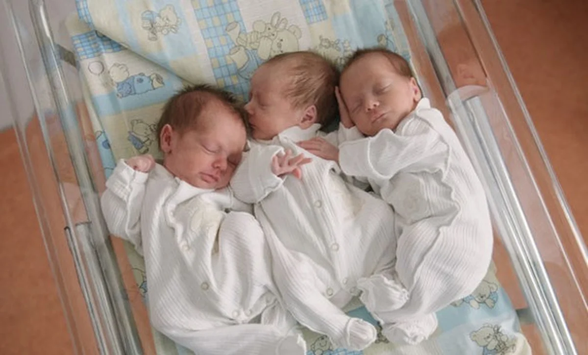 1,238 twins, 36 triplets born in Azerbaijan this year