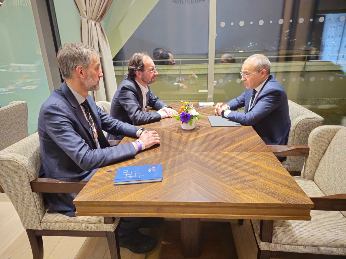 Azerbaijan discusses cooperation with International Organization for Standardization regarding COP 29