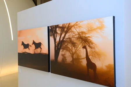 Heydar Aliyev Center launched solo exhibition of famous photographer