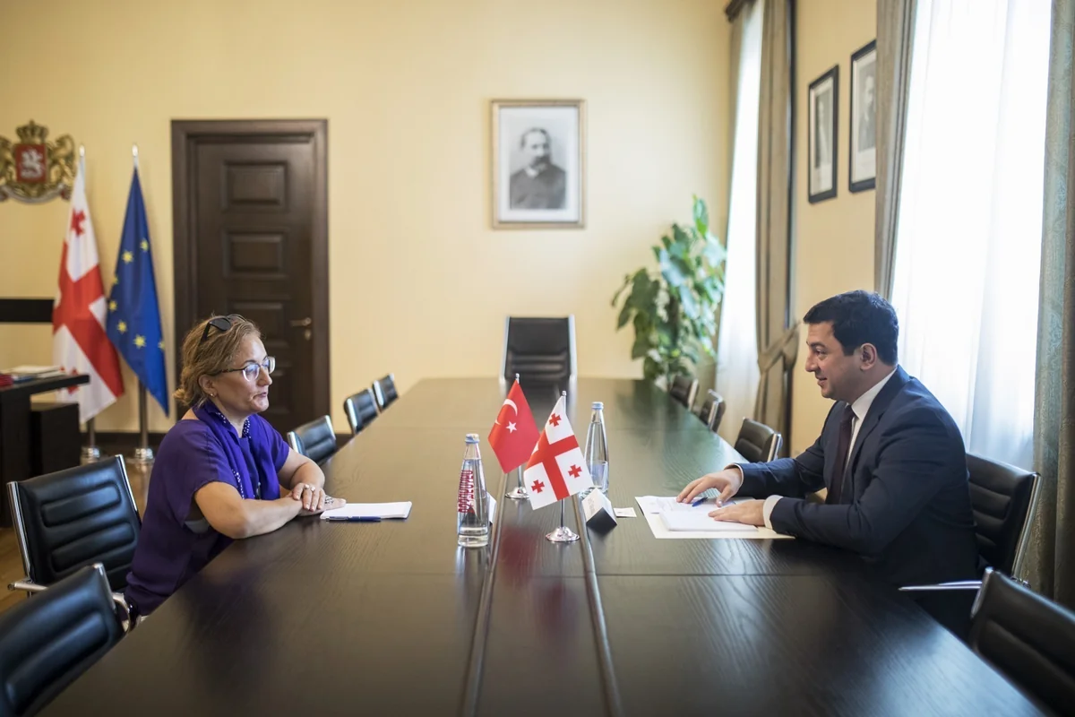 Gürcüstan parlamentinin sədri və Türkiyə səfiri regiondakı vəziyyəti müzakirə ediblər