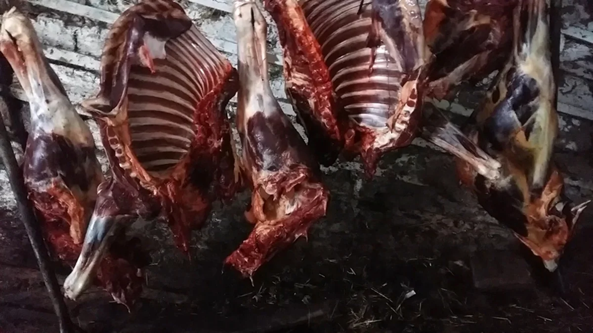 Cəlilabadda fermada kəsilən at ətlərində bakterioloji çirklənmə aşkar edilib