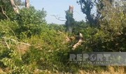 Güclü külək Xaçmazda fəsadlar törədib, onlarla kənd işıqsız qalıb