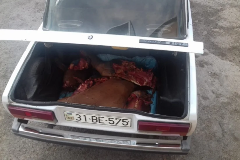 Avtomobilin yük yerində istehlak üçün yararsız at əti aşkarlanıb