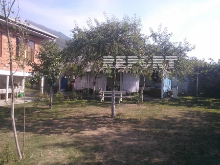 Qaxda 58 yaşlı kişi intihar edib - FOTO