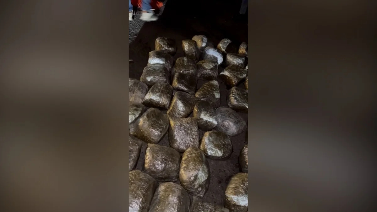 İran vətəndaşı tərəfindən narkokuryerliyə cəlb olunmaqda şübhəli bilinən şəxsdən 50 kiloqram marixuana aşkarlanıb