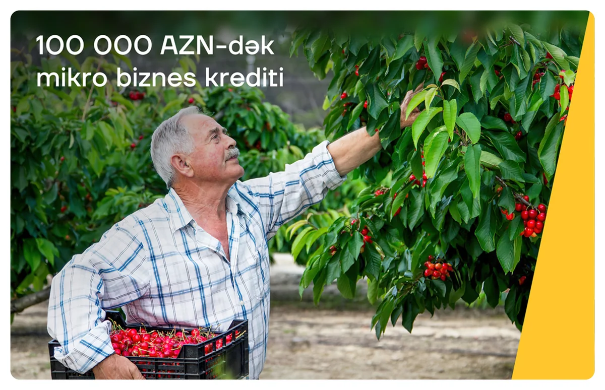 Yelo Bankdan 100 000 manata qədər mikro kredit