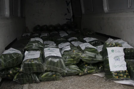 Dövlət Aqrar Ticarət Şirkəti Cocuq Mərcanlı kəndindəki fermerin məhsulunu alıb