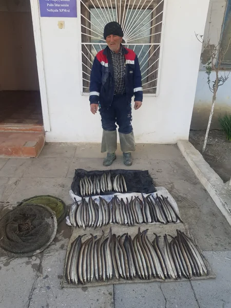 Neftçalada nəsli kəsilməkdə olan balıqları ovlayan şəxs saxlanılıb