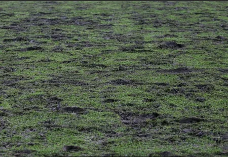 УЕФА поставил ультиматум клубу Дюделанж