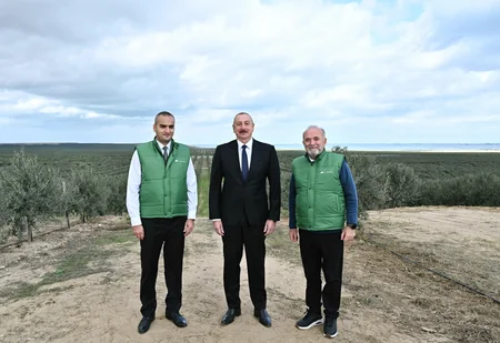 Prezident Zirədə zeytun emalı zavodunun açılışında iştirak edib - YENİLƏNİB