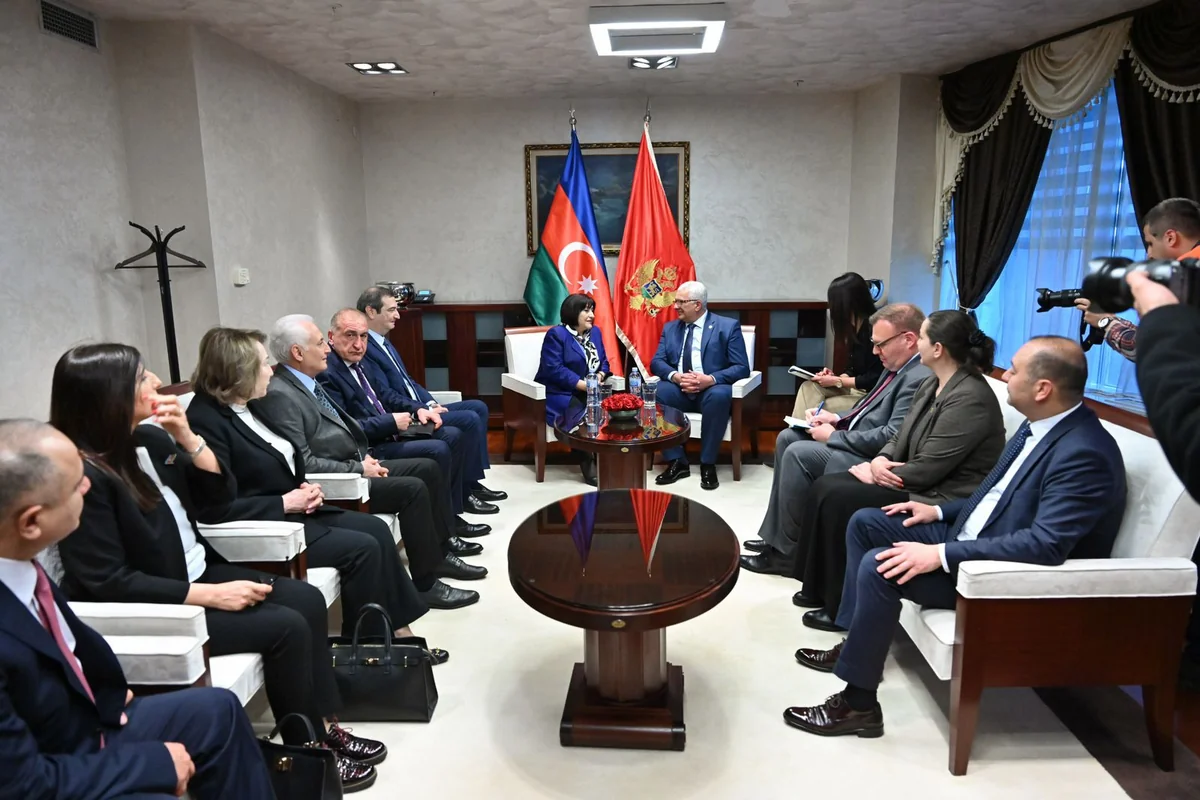 Sahibə Qafarova Monteneqroda rəsmi səfərdədir