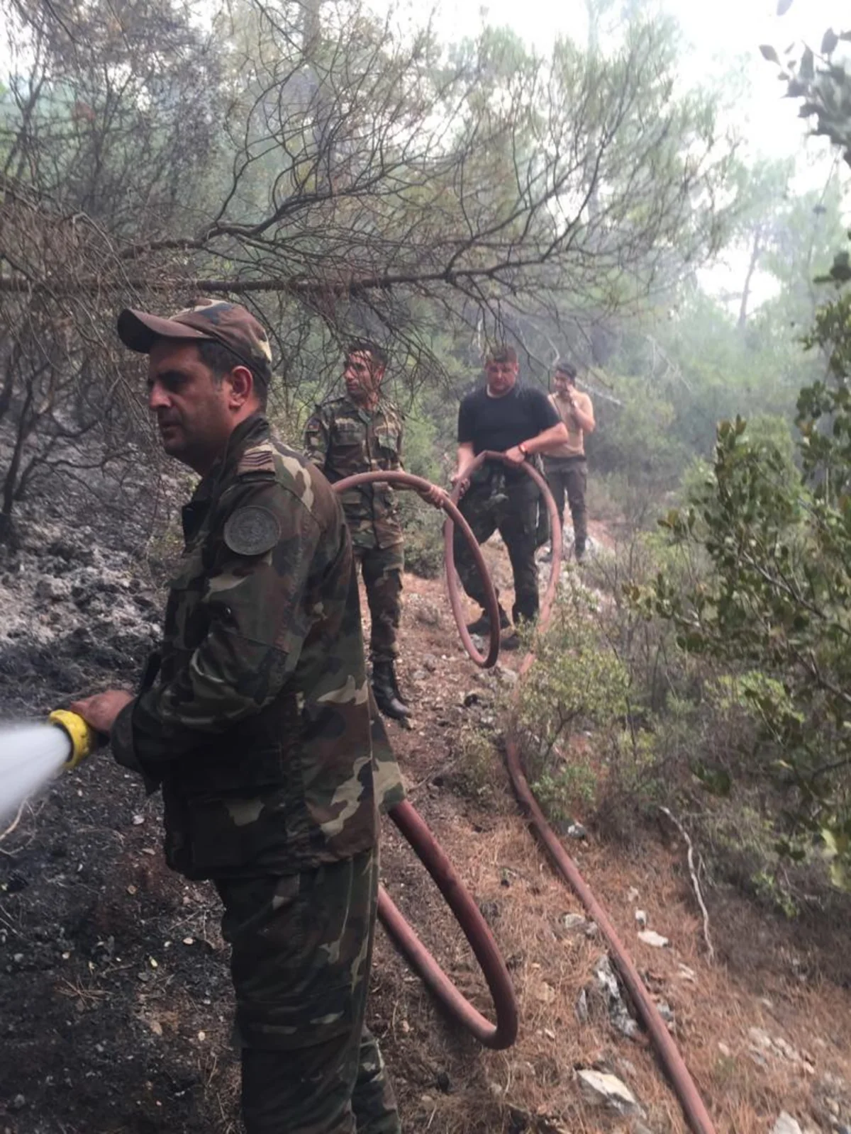 FHN-in qüvvələri Türkiyədə yanğınlarla uğurlu mübarizəni davam etdirirlər