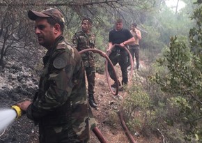 FHN-in qüvvələri Türkiyədə yanğınlarla uğurlu mübarizəni davam etdirirlər