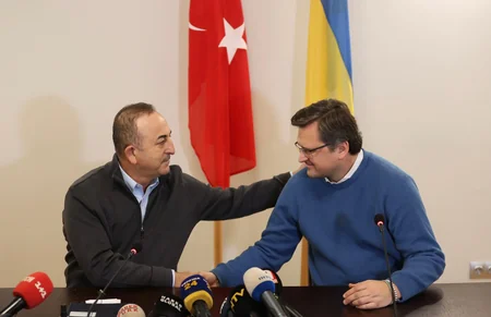 Cavusoglu, Kuleba hold meeting in Ukraine