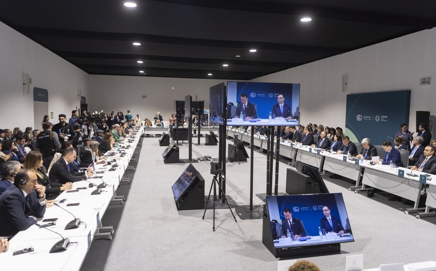 Группа по повестке действий COP29: Аграрный сектор может стать лидером в принятии решений по изменению климата