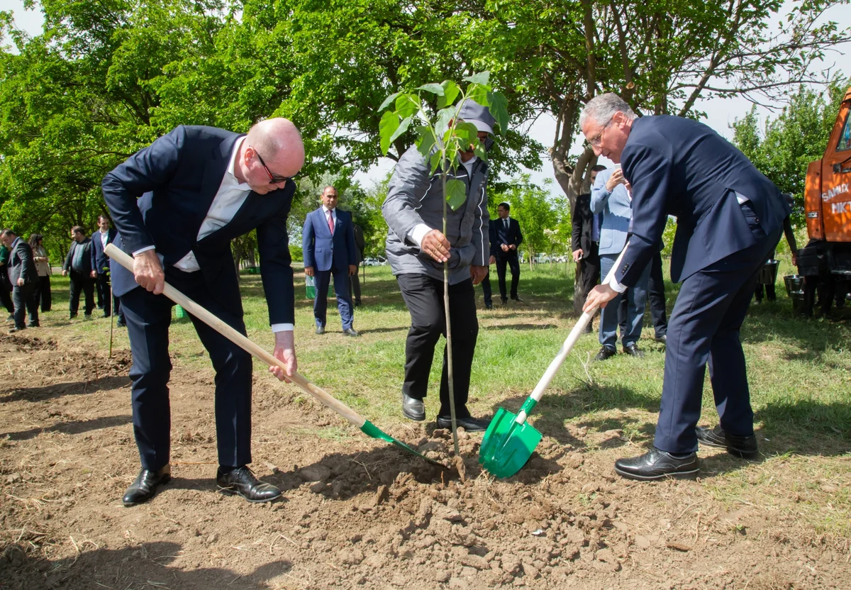 Nazir BP-nin regional prezidenti ilə birgə Samuxda ağac əkib