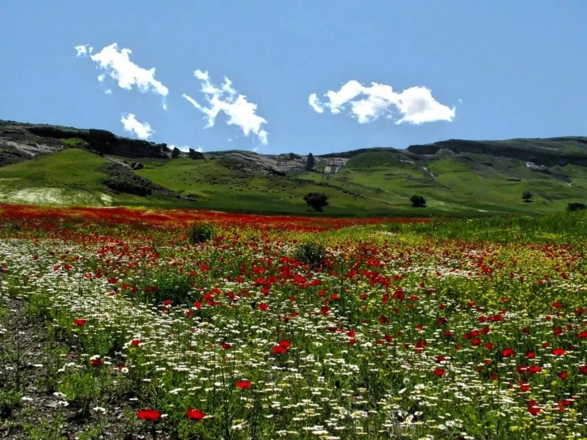Sabah Azərbaycanda 25 dərəcəyədək isti olacaq