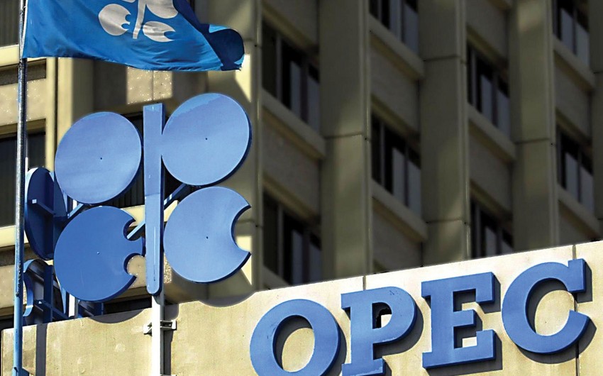 ​OPEC Azərbaycandakı neft hasilatı üzrə proqnozunu artırıb
