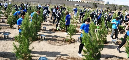 Bakıda Anım Günü ilə əlaqədar ağacəkmə aksiyası keçirilib