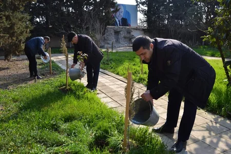 “Heydər Əliyev İli” çərçivəsində Biləsuvarda ağacəkmə aksiyası keçirilib