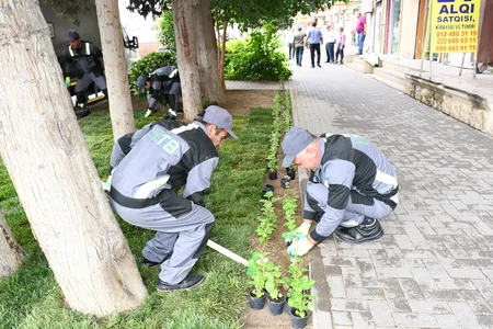 В Баку проведен очередной общегородской субботник